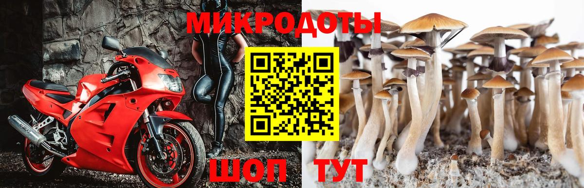 Губкинский  Псилоцибиновые грибы Magic Shrooms  Вход с VPN 